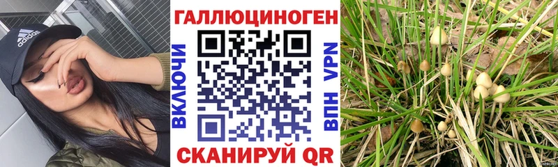 Галлюциногенные грибы GOLDEN TEACHER  Серафимович 